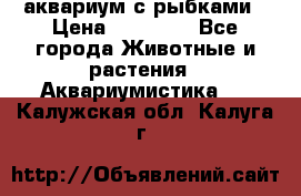 аквариум с рыбками › Цена ­ 15 000 - Все города Животные и растения » Аквариумистика   . Калужская обл.,Калуга г.